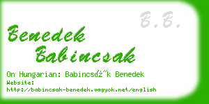 benedek babincsak business card